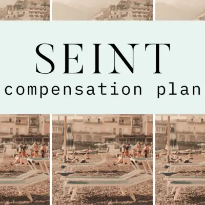 SEINT Compensation Plan