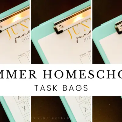 Summer Homeschool Task Bags